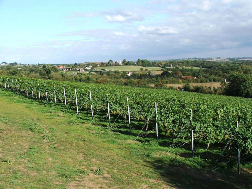 The Prince Of Wales Purleigh Luaran gambar